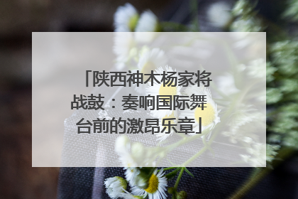 陕西神木杨家将战鼓：奏响国际舞台前的激昂乐章