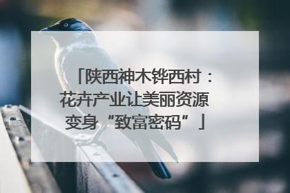 陕西神木铧西村：花卉产业让美丽资源变身“致富密码”