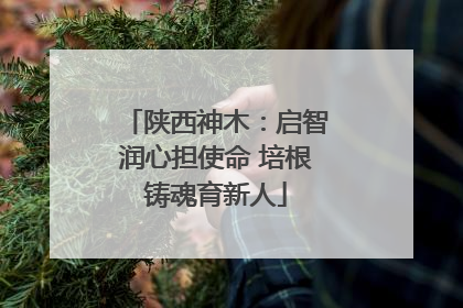 陕西神木：启智润心担使命 培根铸魂育新人