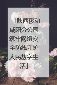 陕西移动咸阳分公司筑牢网络安全防线守护人民数字生活