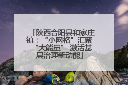 陕西合阳县和家庄镇：“小网格”汇聚“大能量” 激活基层治理新动能