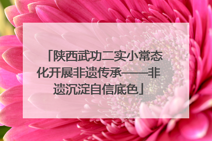 陕西武功二实小常态化开展非遗传承——非遗沉淀自信底色