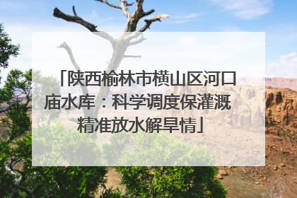 陕西榆林市横山区河口庙水库：科学调度保灌溉 精准放水解旱情