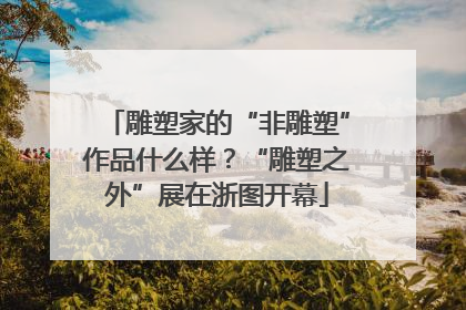 雕塑家的“非雕塑”作品什么样？“雕塑之外”展在浙图开幕