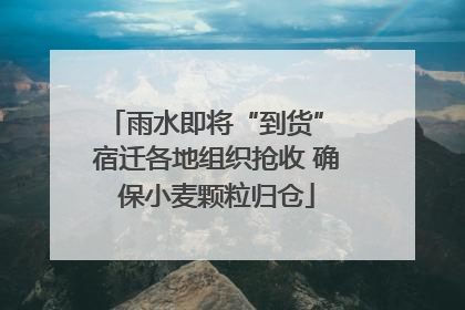 雨水即将“到货” 宿迁各地组织抢收 确保小麦颗粒归仓