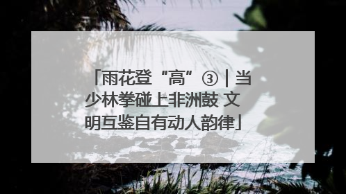 雨花登“高”③｜当少林拳碰上非洲鼓 文明互鉴自有动人韵律