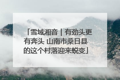 雪域湘音｜有劲头更有奔头 山南市桑日县的这个村落迎来蜕变