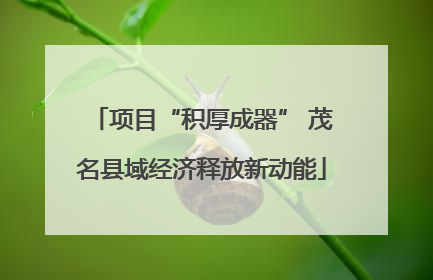 项目“积厚成器” 茂名县域经济释放新动能