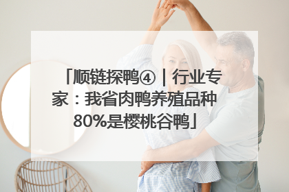 顺链探鸭④｜行业专家：我省肉鸭养殖品种80%是樱桃谷鸭