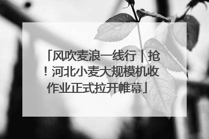 风吹麦浪一线行｜抢！河北小麦大规模机收作业正式拉开帷幕