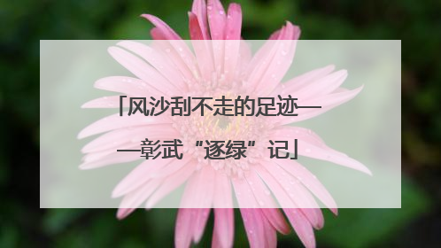 风沙刮不走的足迹——彰武“逐绿”记