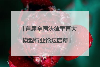 首届全国法律垂直大模型行业论坛启幕