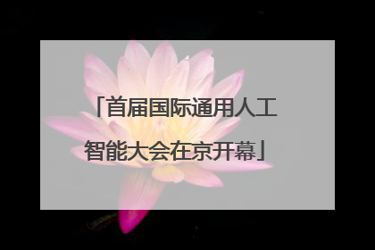 首届国际通用人工智能大会在京开幕