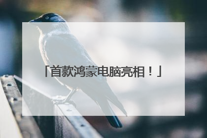 首款鸿蒙电脑亮相！