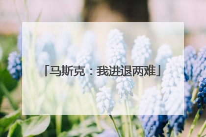 马斯克：我进退两难