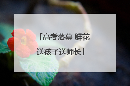 高考落幕 鲜花送孩子送师长