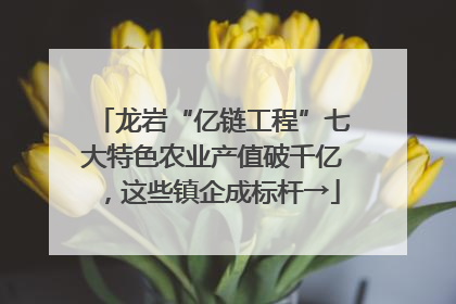 龙岩“亿链工程”七大特色农业产值破千亿，这些镇企成标杆→