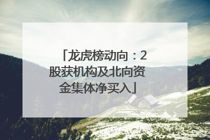 龙虎榜动向：2股获机构及北向资金集体净买入