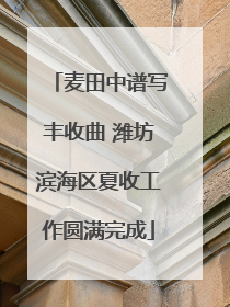 麦田中谱写丰收曲 潍坊滨海区夏收工作圆满完成