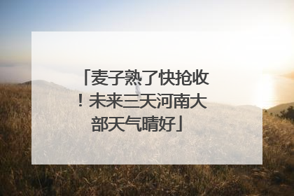 麦子熟了快抢收！未来三天河南大部天气晴好