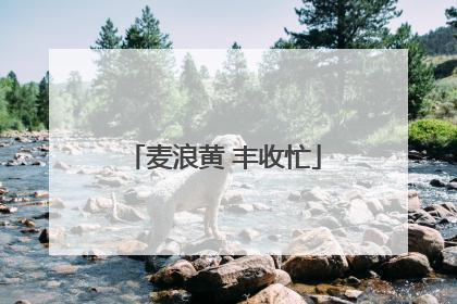麦浪黄 丰收忙