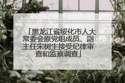 黑龙江省绥化市人大常委会原党组成员、副主任宋树生接受纪律审查和监察调查