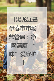 黑龙江省伊春市市场监管局：净网清厨 “味”爱守护