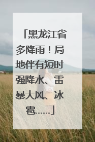 黑龙江省多降雨！局地伴有短时强降水、雷暴大风、冰雹……