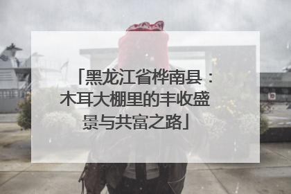 黑龙江省桦南县：木耳大棚里的丰收盛景与共富之路