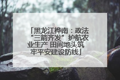 黑龙江桦南：政法“三箭齐发”护航农业生产 田间地头筑牢平安建设防线