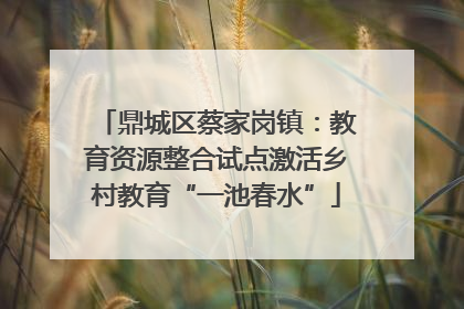 鼎城区蔡家岗镇：教育资源整合试点激活乡村教育“一池春水”