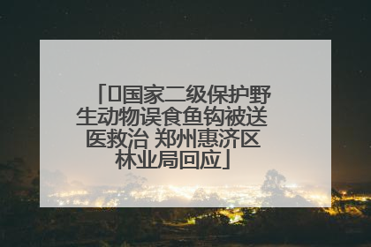 ﻿国家二级保护野生动物误食鱼钩被送医救治 郑州惠济区林业局回应