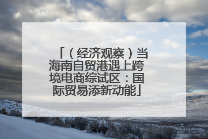 （经济观察）当海南自贸港遇上跨境电商综试区：国际贸易添新动能