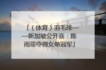 （体育）羽毛球——新加坡公开赛：陈雨菲夺得女单冠军
