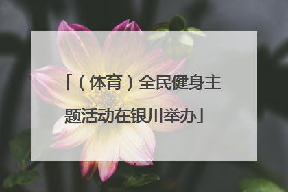 （体育）全民健身主题活动在银川举办