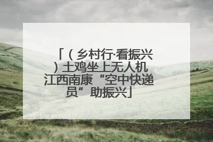 （乡村行·看振兴）土鸡坐上无人机 江西南康“空中快递员”助振兴