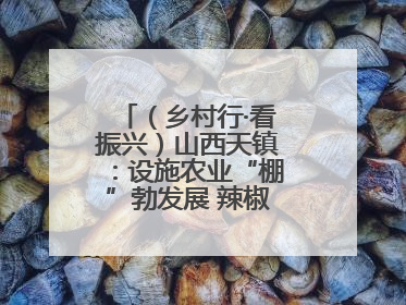 （乡村行·看振兴）山西天镇：设施农业“棚”勃发展 辣椒产业蓄势待发