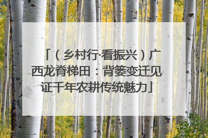 （乡村行·看振兴）广西龙脊梯田：背篓变迁见证千年农耕传统魅力