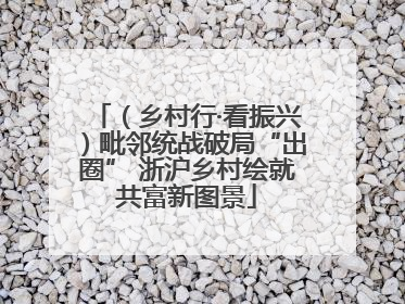 （乡村行·看振兴）毗邻统战破局“出圈” 浙沪乡村绘就共富新图景