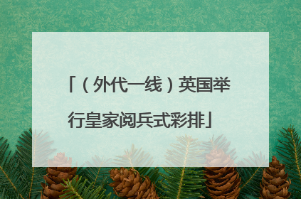 （外代一线）英国举行皇家阅兵式彩排