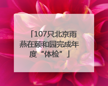 107只北京雨燕在颐和园完成年度“体检”