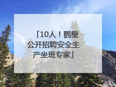 10人！鹤壁公开招聘安全生产坐班专家