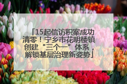 15起信访积案成功清零！宁乡市花明楼镇创建“三个一”体系，解锁基层治理新姿势