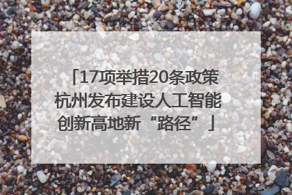 17项举措20条政策 杭州发布建设人工智能创新高地新“路径”