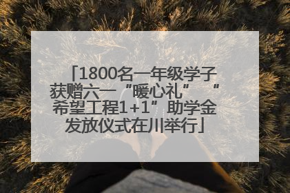 1800名一年级学子获赠六一“暖心礼” “希望工程1+1”助学金发放仪式在川举行