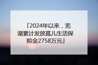 2024年以来，芜湖累计发放孤儿生活保障金2758万元