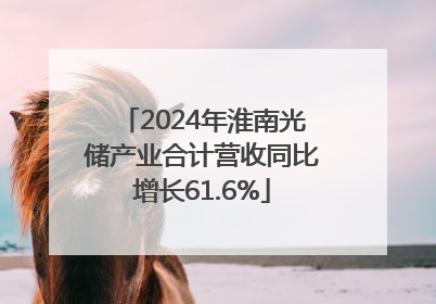 2024年淮南光储产业合计营收同比增长61.6%