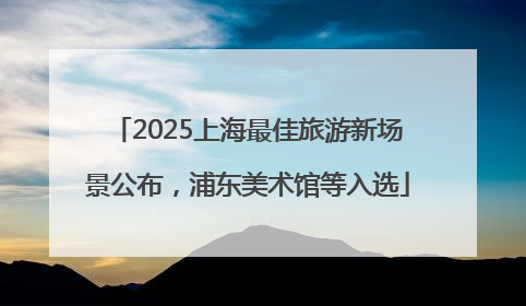 2025上海最佳旅游新场景公布，浦东美术馆等入选