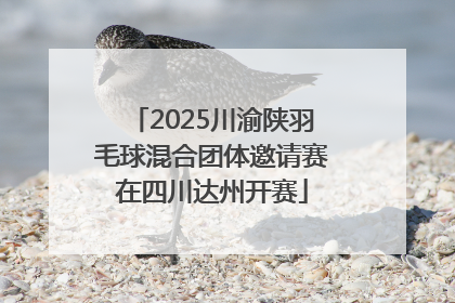2025川渝陕羽毛球混合团体邀请赛在四川达州开赛