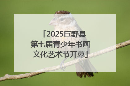 2025巨野县第七届青少年书画文化艺术节开幕